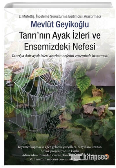 Tanrının Ayak İzleri ve Ensemizdeki Nefesi - Mevlüt Geyikoğlu kitap kapağı