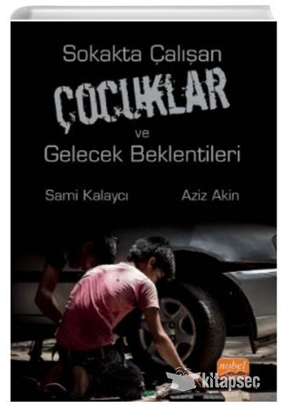 Sokakta Çalışan Çocuklar ve Gelecek Beklentileri - Sami Kalaycı kitap kapağı