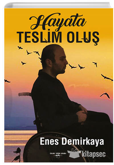 Hayata Teslim Oluş - Enes Demirkaya kitap kapağı