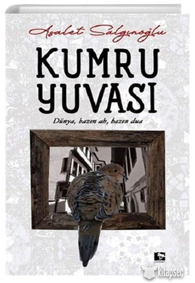 Kumru Yuvası - Asalet Salgınoğlu kitap kapağı