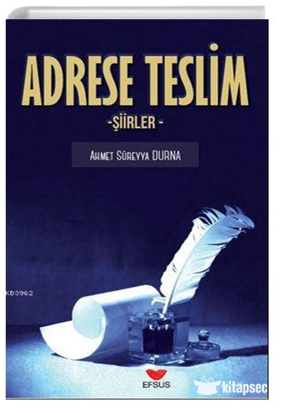 Adrese Teslim Şiirler - Ahmet Süreyya Durna kitap kapağı