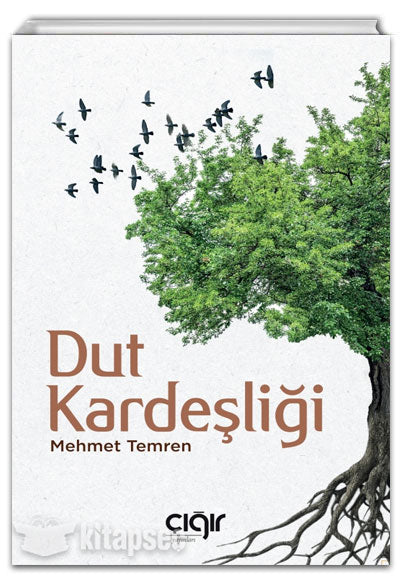 Dut Kardeşliği - Mehmet Temren kitap kapağı