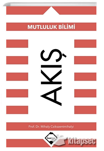 Elt Summer Time 2 - Komisyon kitap kapağı
