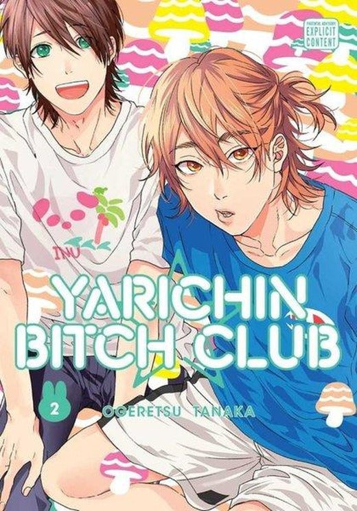 Yarichin Bitch Club, Vol. 2 | Viz Media (İnce Kapak)