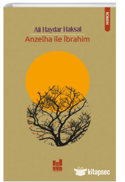 Anzelha İle İbrahim - Ali Haydar Haksal kitap kapağı