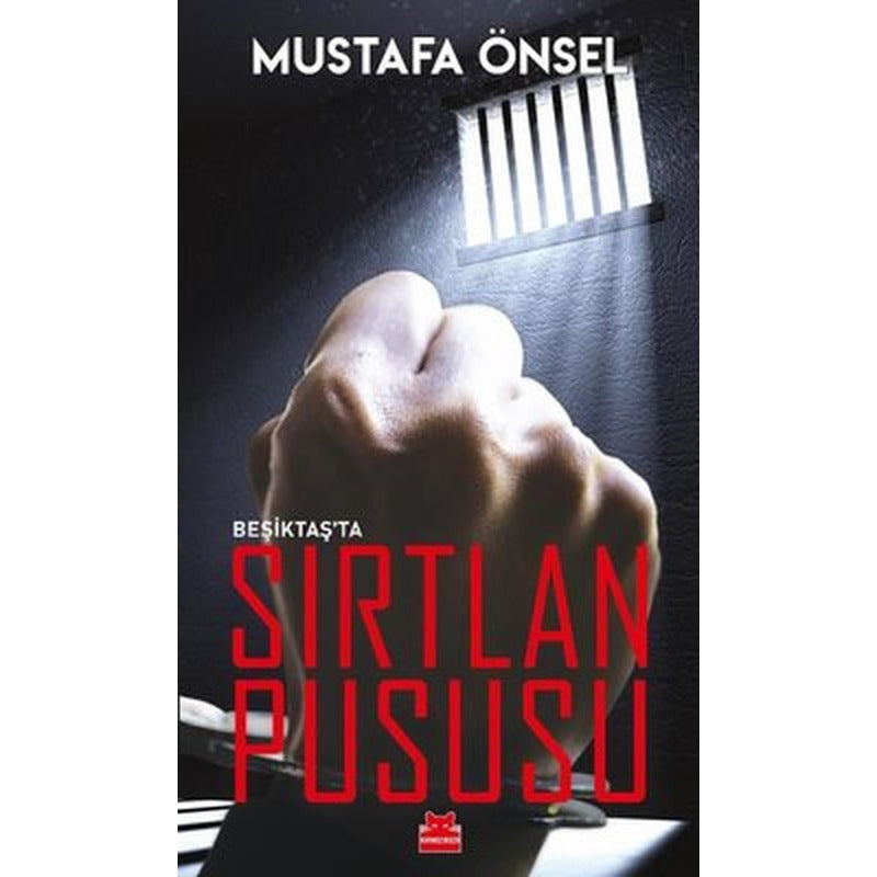 Beşiktaş'ta Sırtlan Pususu | Kırmızı Kedi