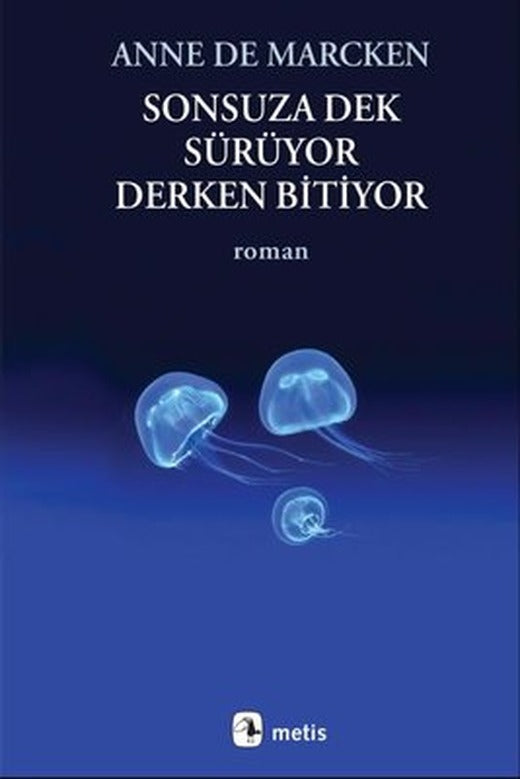 Sonsuza Dek Sürüyor Derken Bitiyor | Metis Yayınları (İnce Kapak )