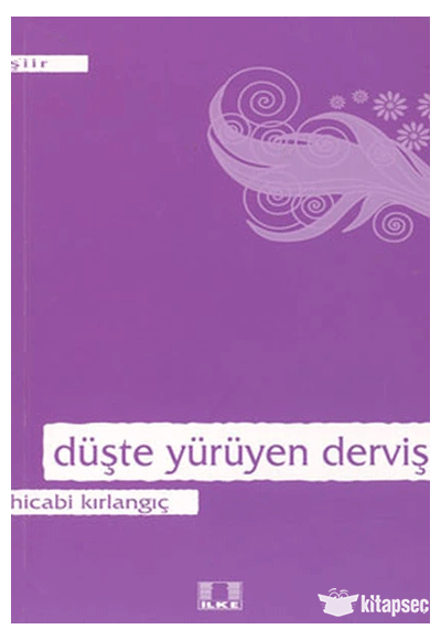 Düşte Yürüyen Derviş - Hicabi Kırlangıç kitap kapağı