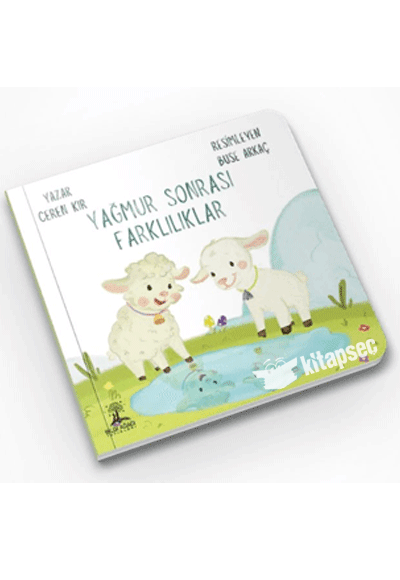 Yağmur Sonrası Farklılıklar - Ceren Kıran kitap kapağı