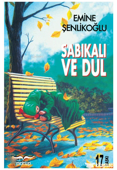 Sabıkalı ve Dul - Emine Şenlikoğlu kitap kapağı