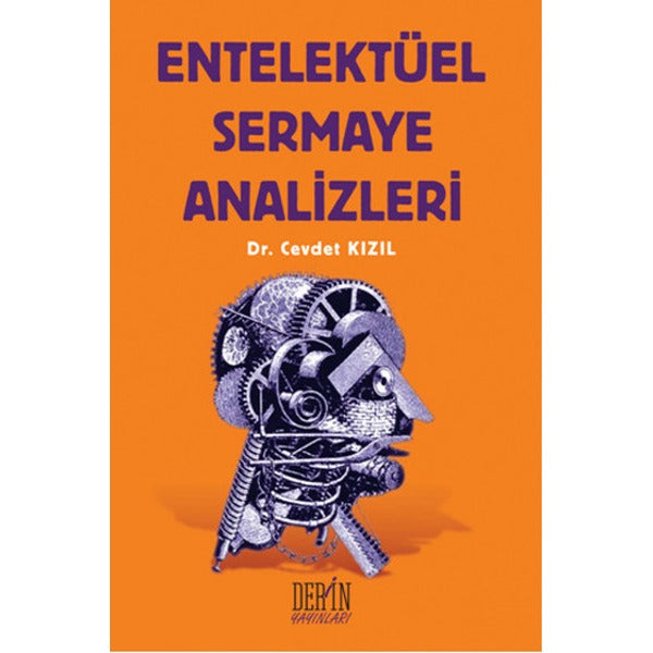 Entelektüel Sermaye Analizleri | Derin Yayınları (İnce Kapak)