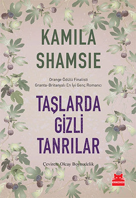 Taşlarda Gizli Tanrılar | Kırmızı Kedi