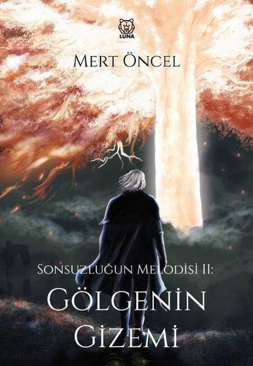Gölgenin Gizemi - Sonsuzluğun Melodisi 2 | Luna Yayınları (İnce Kapak)