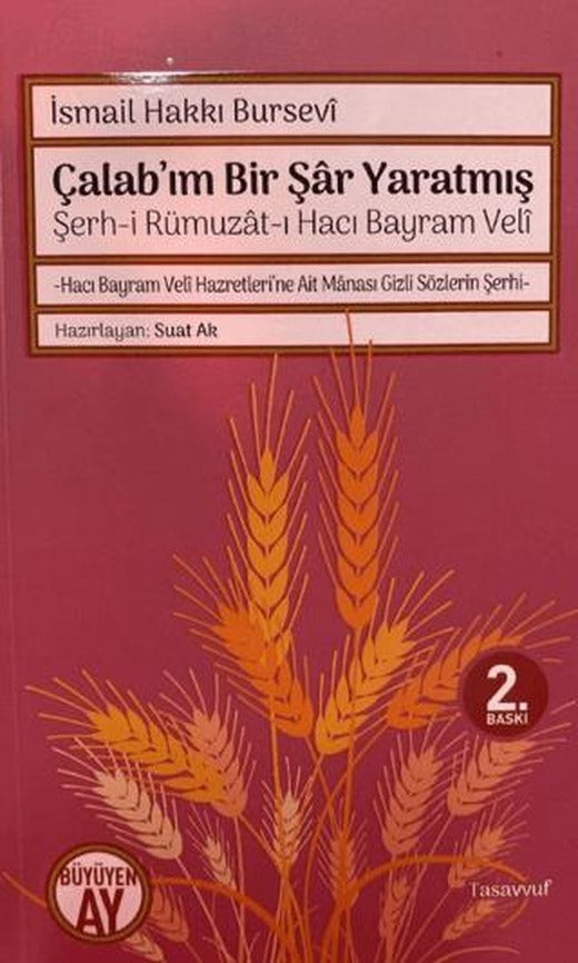 Şerh-i Rümuzat-ı Hacı Bayram Veli - Çalab’ım Bir Şar Yaratmış