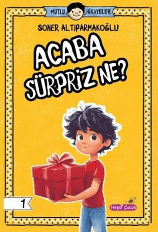 Acaba Sürpriz Ne?
