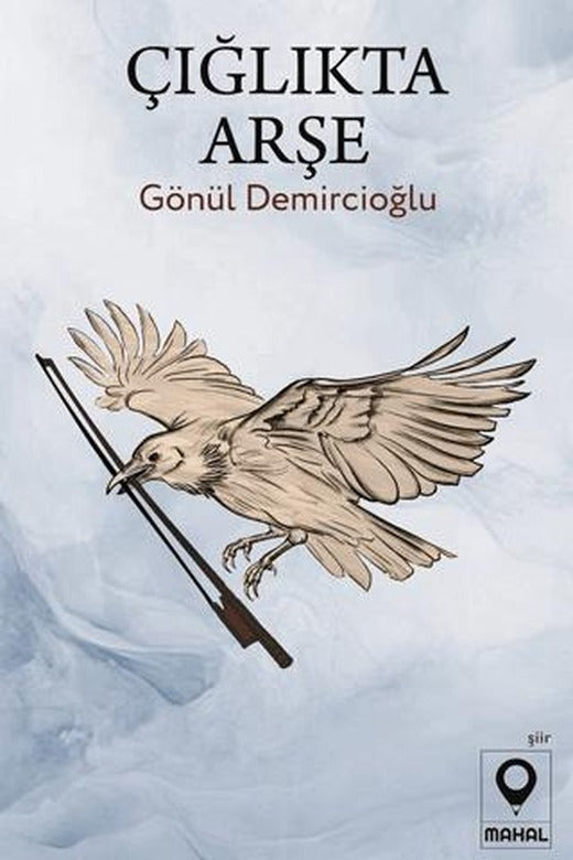 Çığlıkta Arşe