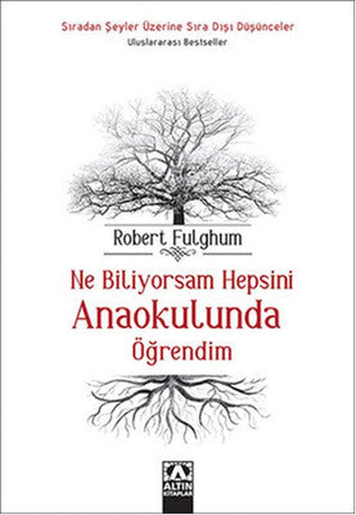 Ne Biliyorsam Hepsini Anaokulunda Öğrendim | Altın Kitaplar