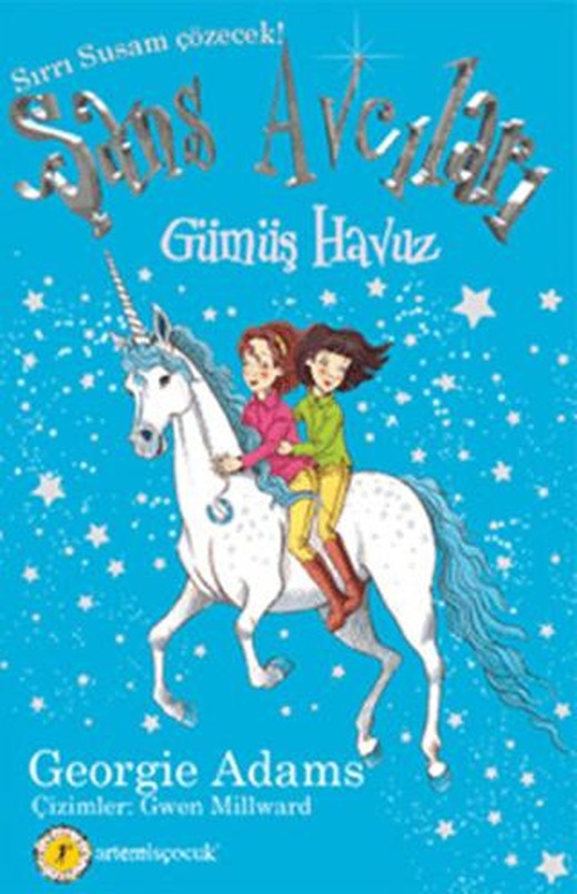 Gümüş Havuz - Şans Avcıları 2 | Artemis Yayınları (Ciltsiz)