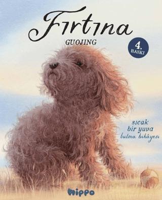 Fırtına