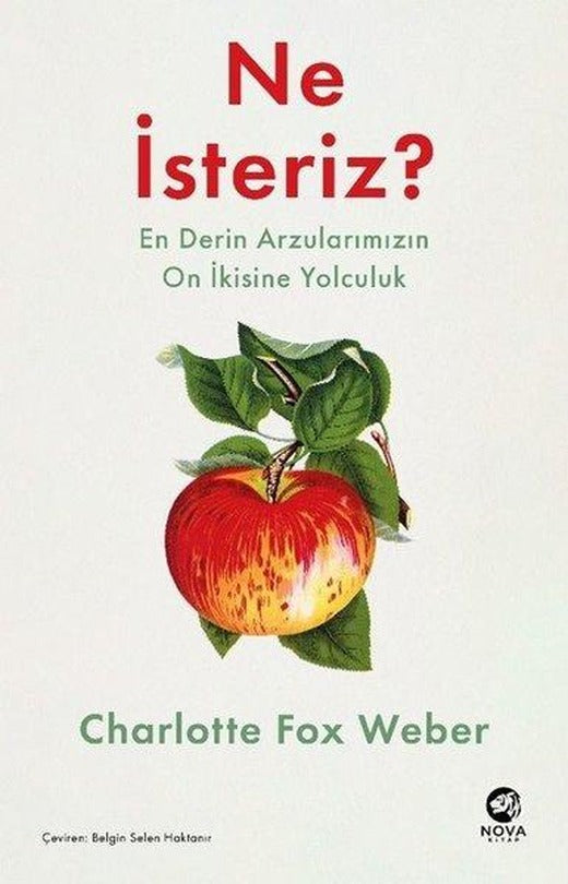 Ne İsteriz? En Derin Arzularımızın On İkisine Yolculuk | Nova Kitap (İnce Kapak)