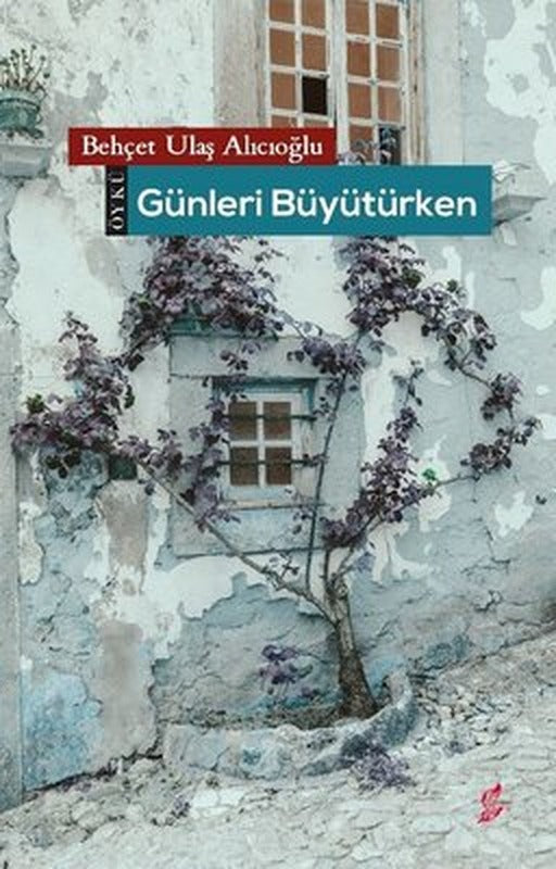 Günleri Büyütürken | Okur Kitaplığı