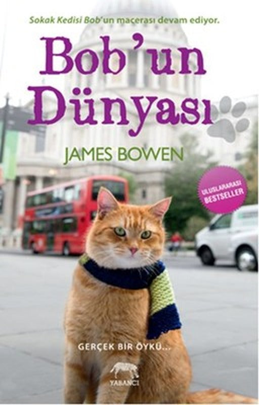 Bob'un Dünyası | Yabancı Yayınları