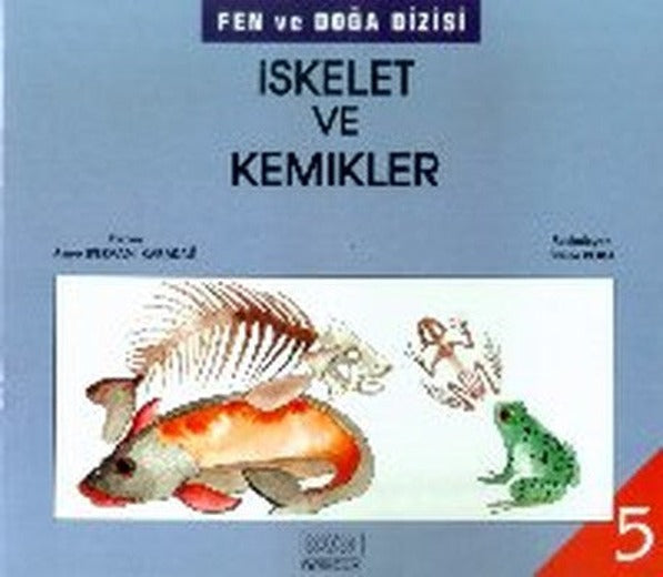 İskelet ve Kemikler | Kök Yayıncılık