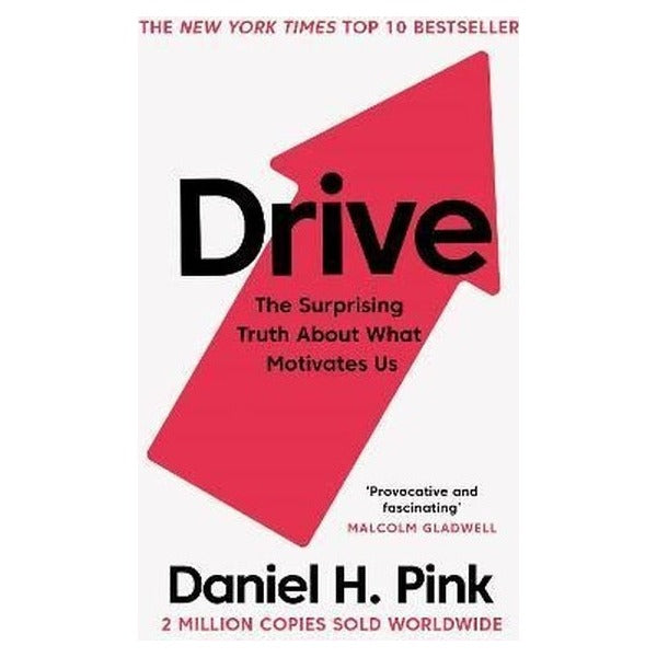 Drive : The Surprising Truth About What Motivates Us | Canongate Books