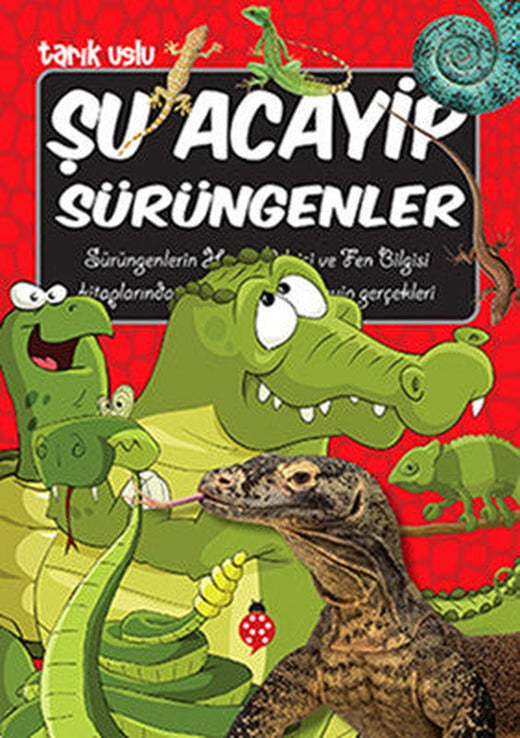 Şu Acayip Sürüngenler | Uğurböceği