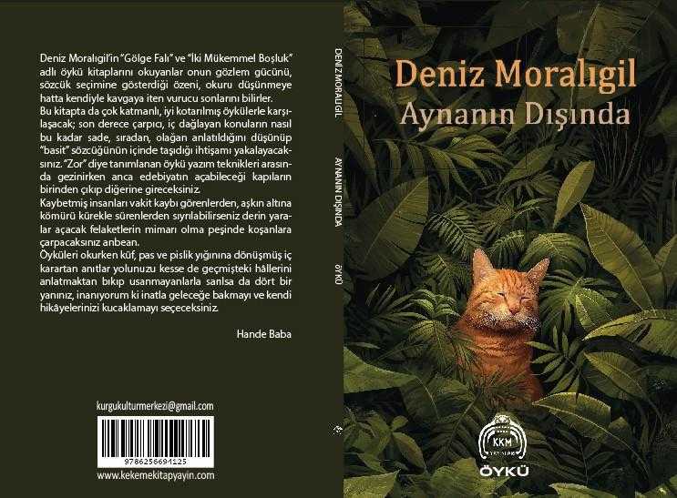 Aynanın Dışında - DENİZ MORALIGİL kitap kapağı