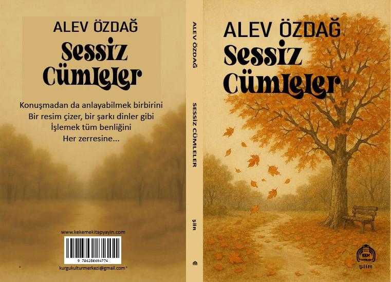 Sessiz Cümleler - ALEV ÖZDAĞ kitap kapağı