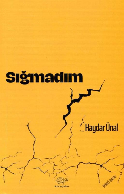 Sığmadım - HAYDAR ÜNAL kitap kapağı