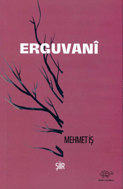 Erguvani - MEHMET İŞ kitap kapağı