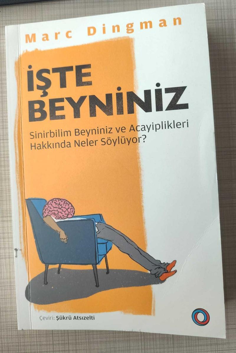 İşte Beynimiz - Marc Dingman kitap kapağı