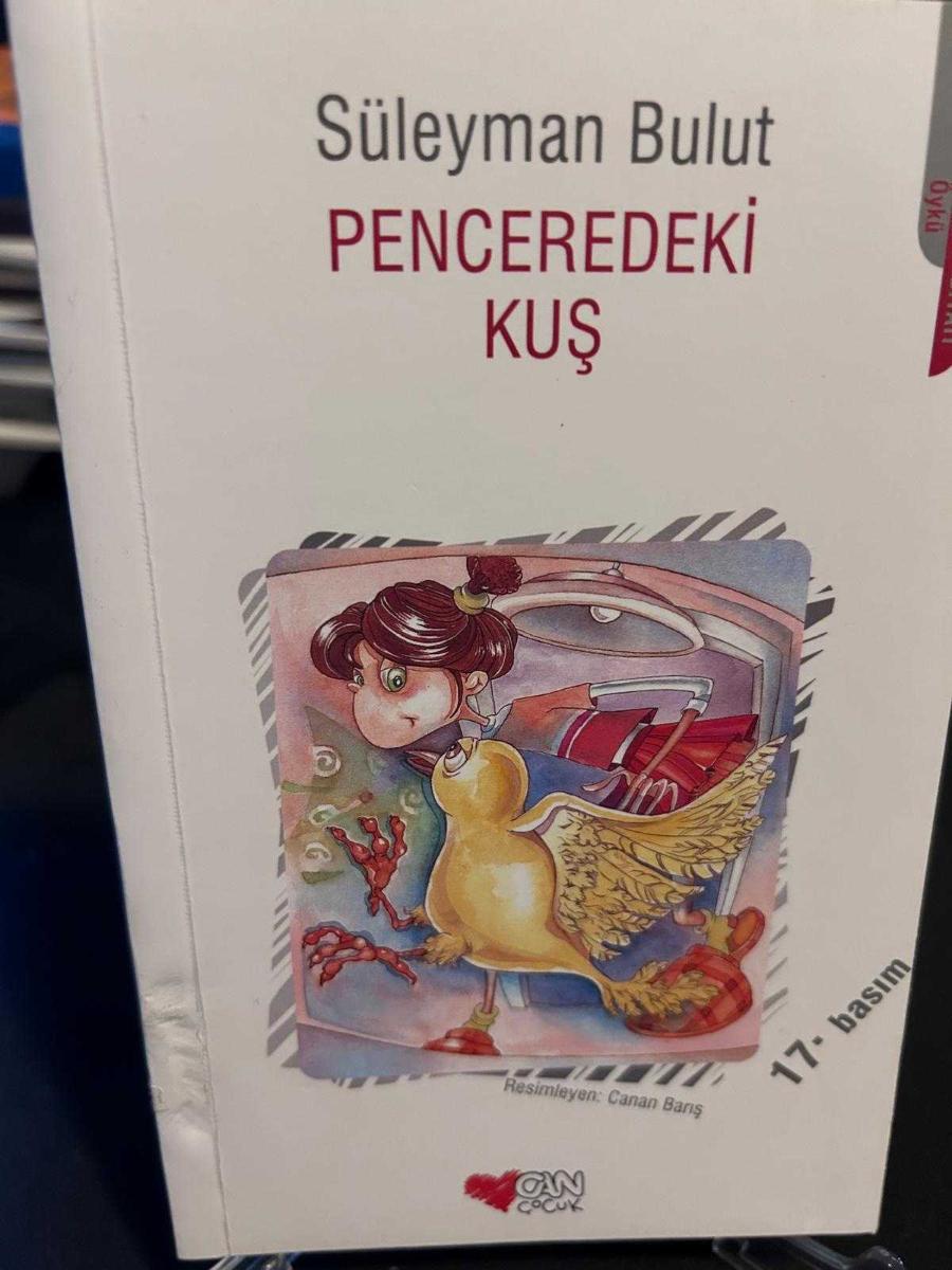 Penceredeki Kuş - SÜLEYMAN BULUT kitap kapağı
