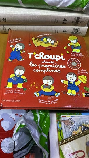 T'choupi chante les premières comptines - Thierry Courtin kitap kapağı