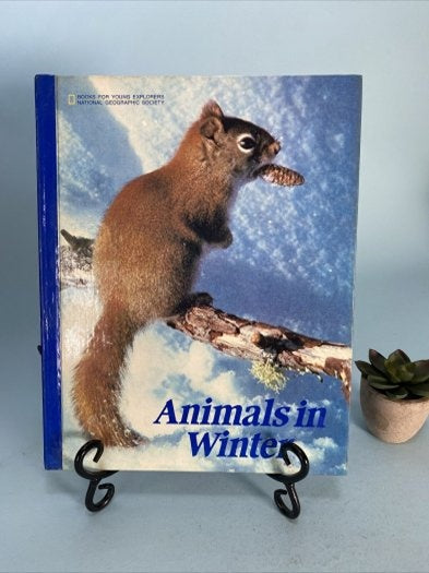 Animals in Winter ( kış hayvanları ) Ronald M Fisher - Ronald M Fisher kitap kapağı