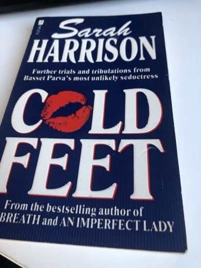 Cold Feet - Sarah Harrison kitap kapağı