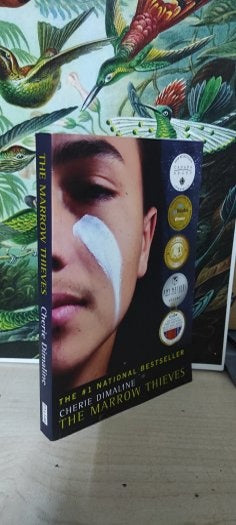 The Marrow Thieves - Cherie Dimaline kitap kapağı