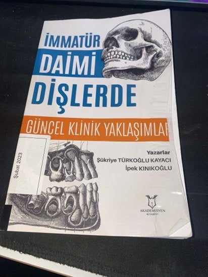 İmmatür Daimi Dişlerde Güncel Klinik Yaklaşımlar kitap kapağı