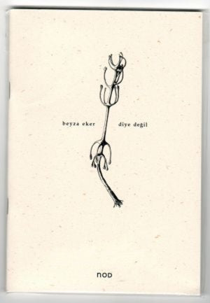 Diye Değil - Beyza Eker kitap kapağı