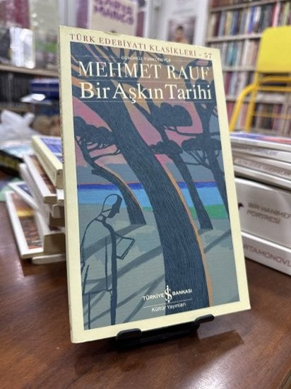 Bir Aşkın Tarihi Modern Türk Edebiyatı Klasikleri - Mehmet Rauf kitap kapağı
