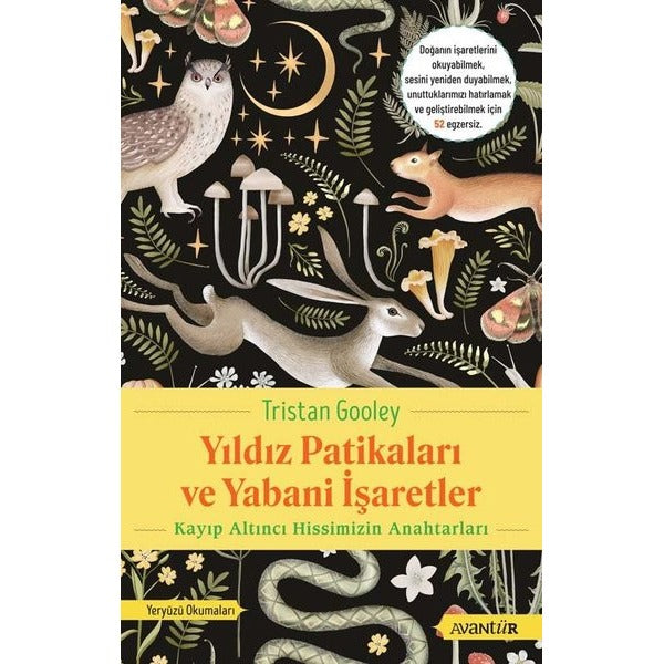 Yıldız Patikaları ve Yabani İşaretler Kayıp Altıncı Hissimizin Anahtarları