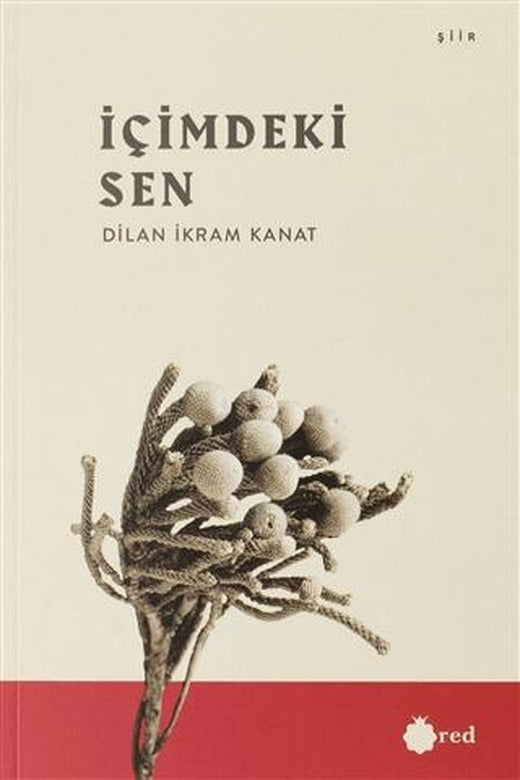 İçimdeki Sen