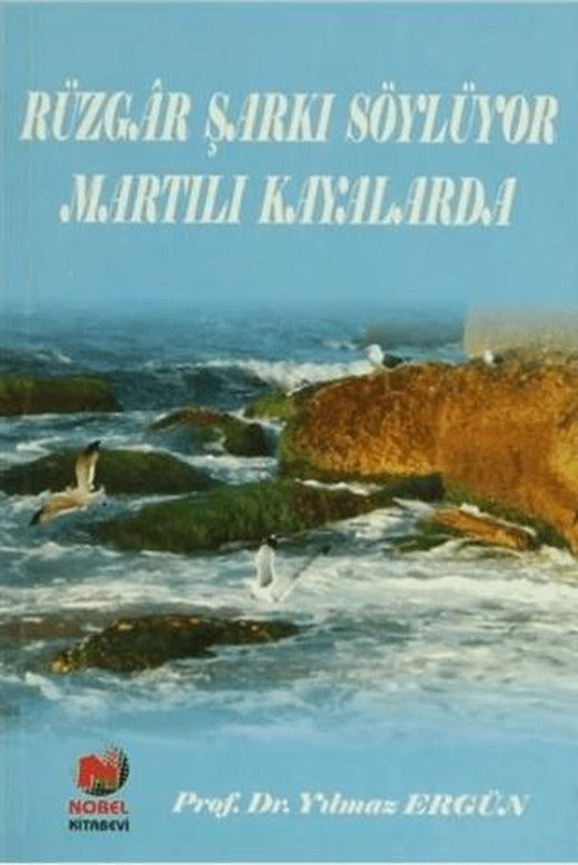 Rüzgar Şarkı Söylüyor Martılı Kayalarda