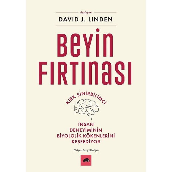 Beyin Fırtınası | Kolektif Kitap (İnce Kapak)