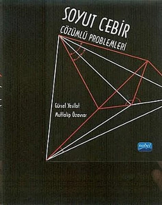Soyut Cebir Çözümlü Problemleri | Nobel Akademik Yayıncılık (İnce Kapak)