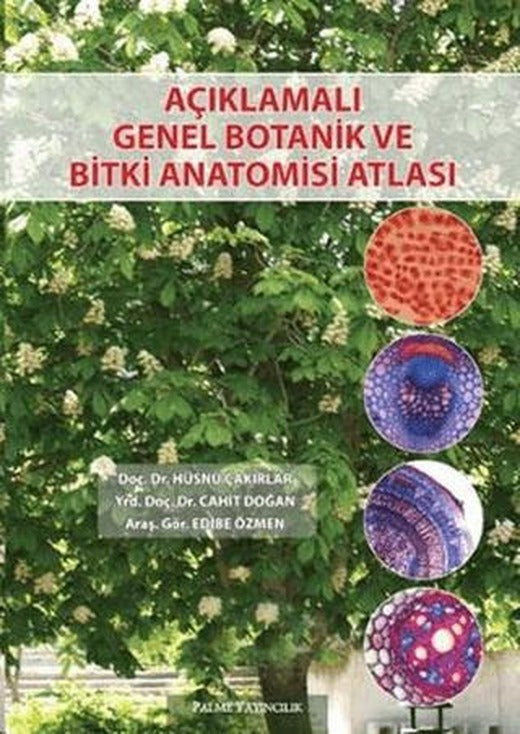 Açıklamalı Genel Botanik ve Bitki Anatomisi Atlası | Palme Yayıncılık (Ciltsiz)