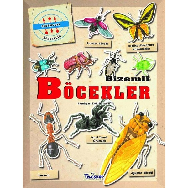 Gizemleri Öğrenelim - Gizemli Böcekler