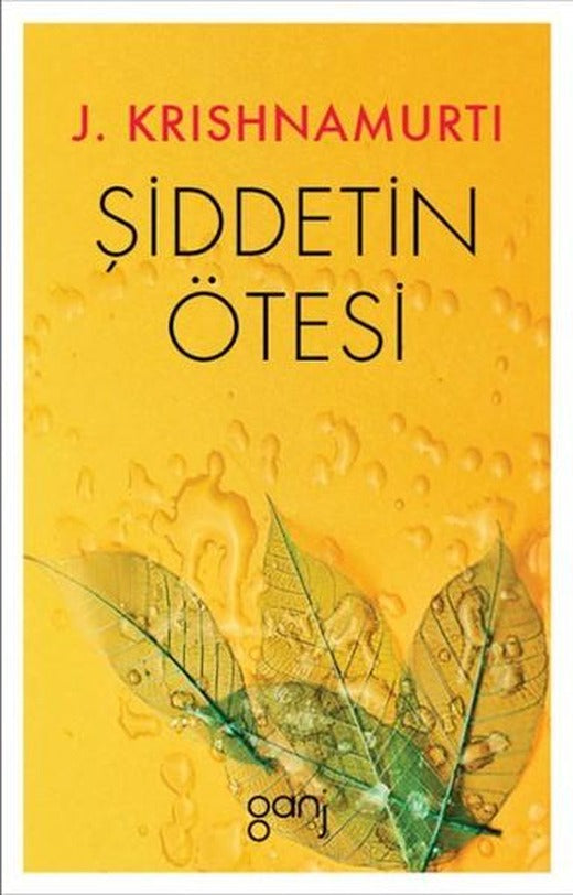 Şiddetin Ötesi | Ganj Yayınları (İnce Kapak)